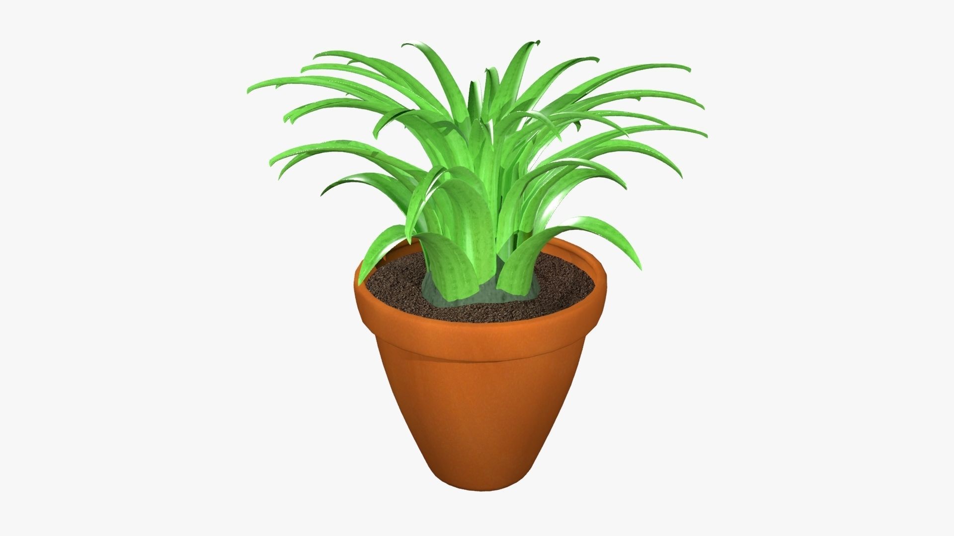 Tillandsia plant 3D model_11
