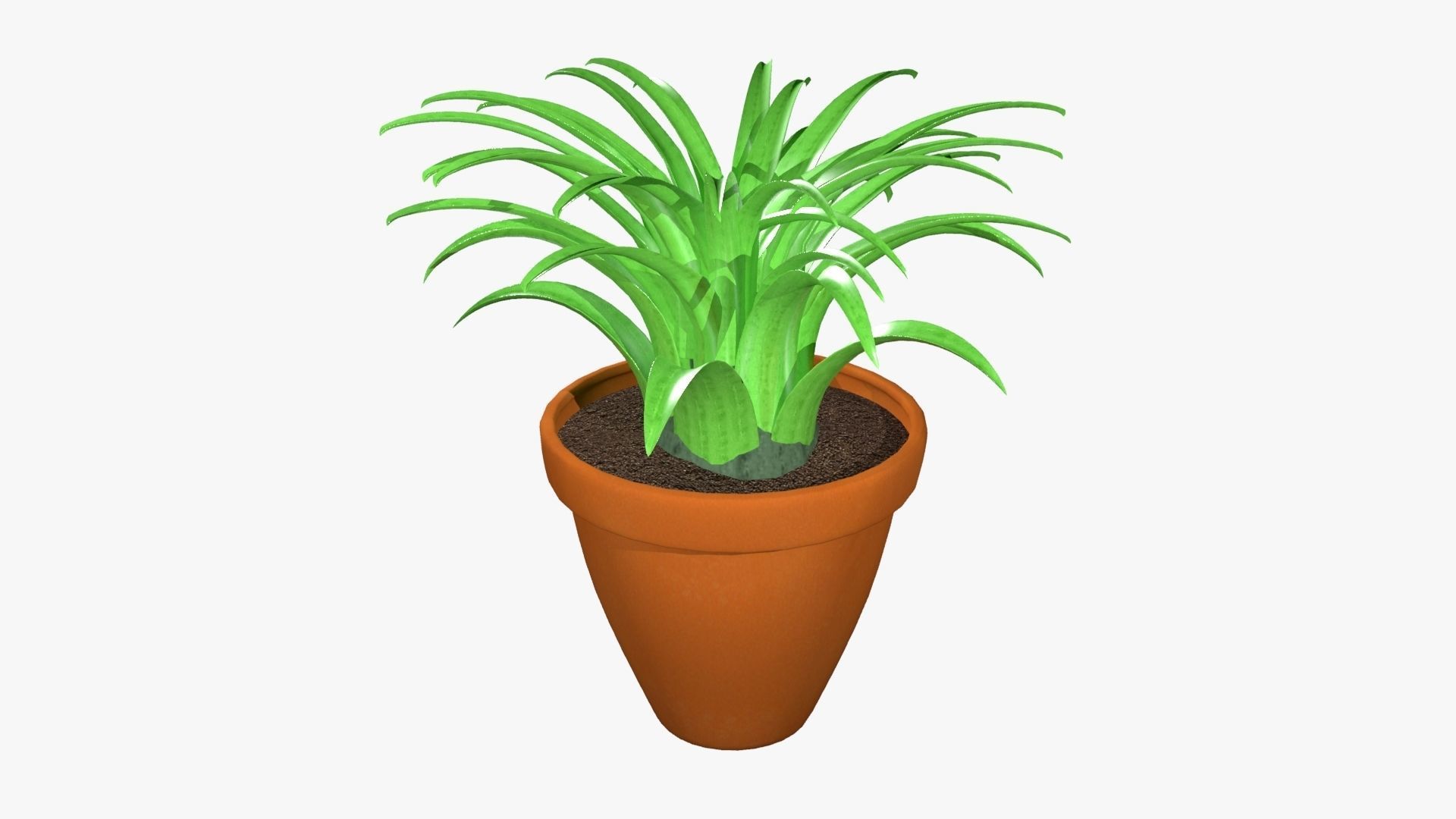 Tillandsia plant 3D model_7