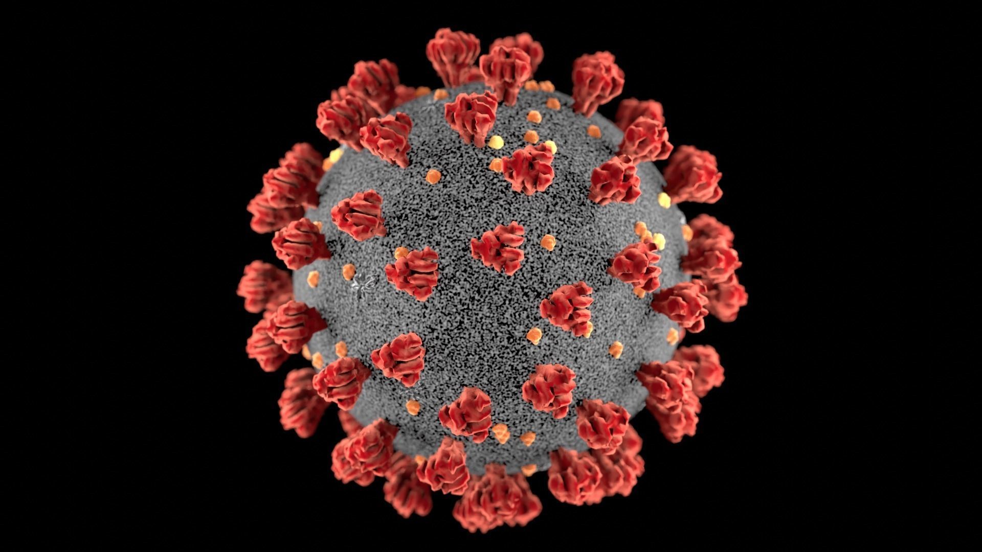 Realistic 3d model of the sars-cov-2 covid-19 virus cell 3D model_4