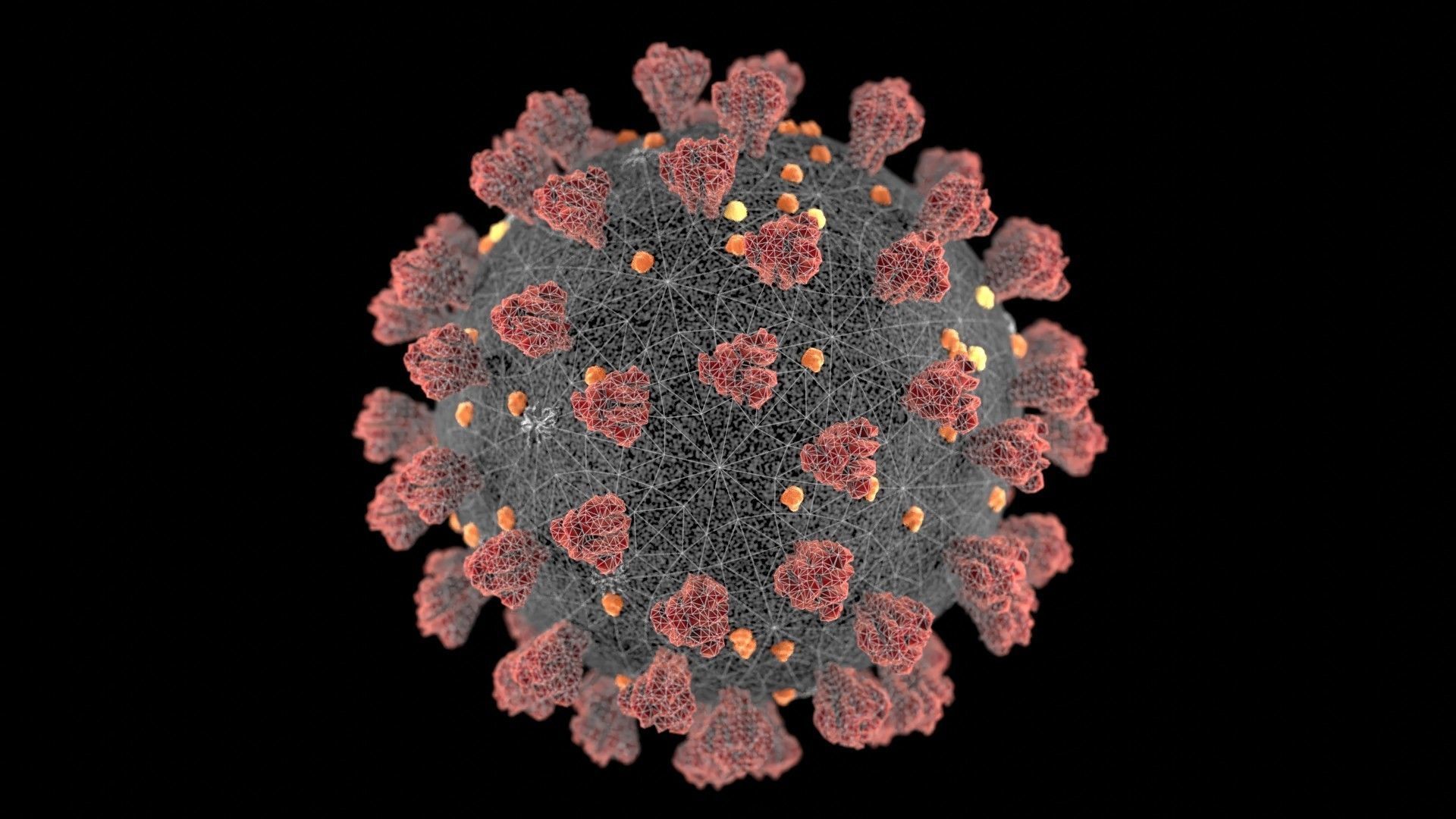 Realistic 3d model of the sars-cov-2 covid-19 virus cell 3D model_2