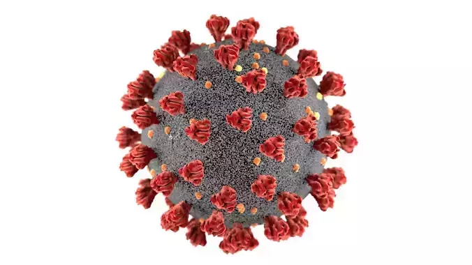 Realistic 3d model of the sars-cov-2 covid-19 virus cell 3D model