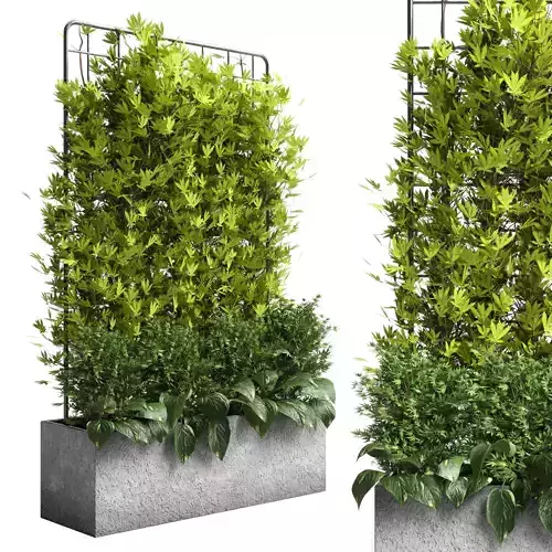 ivy parttion wall vertical garden set 01