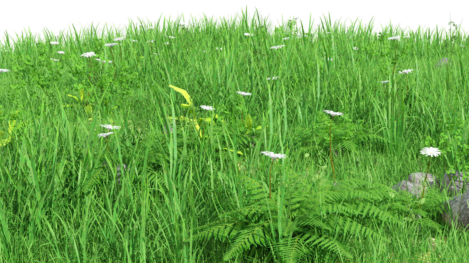Nature Asset Pack Grass Plants and Flowers 3D model_6