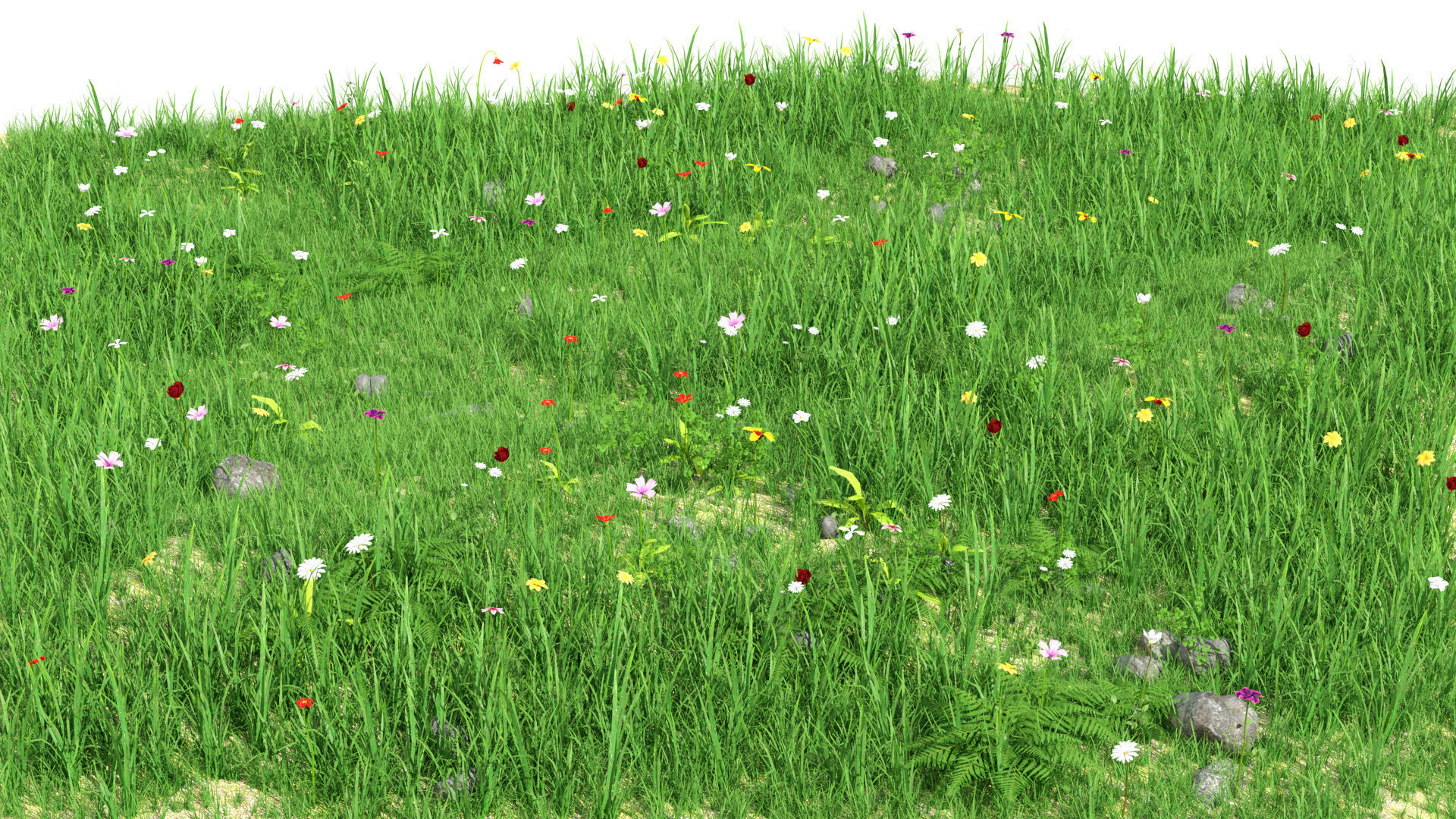 Nature Asset Pack Grass Plants and Flowers 3D model_3