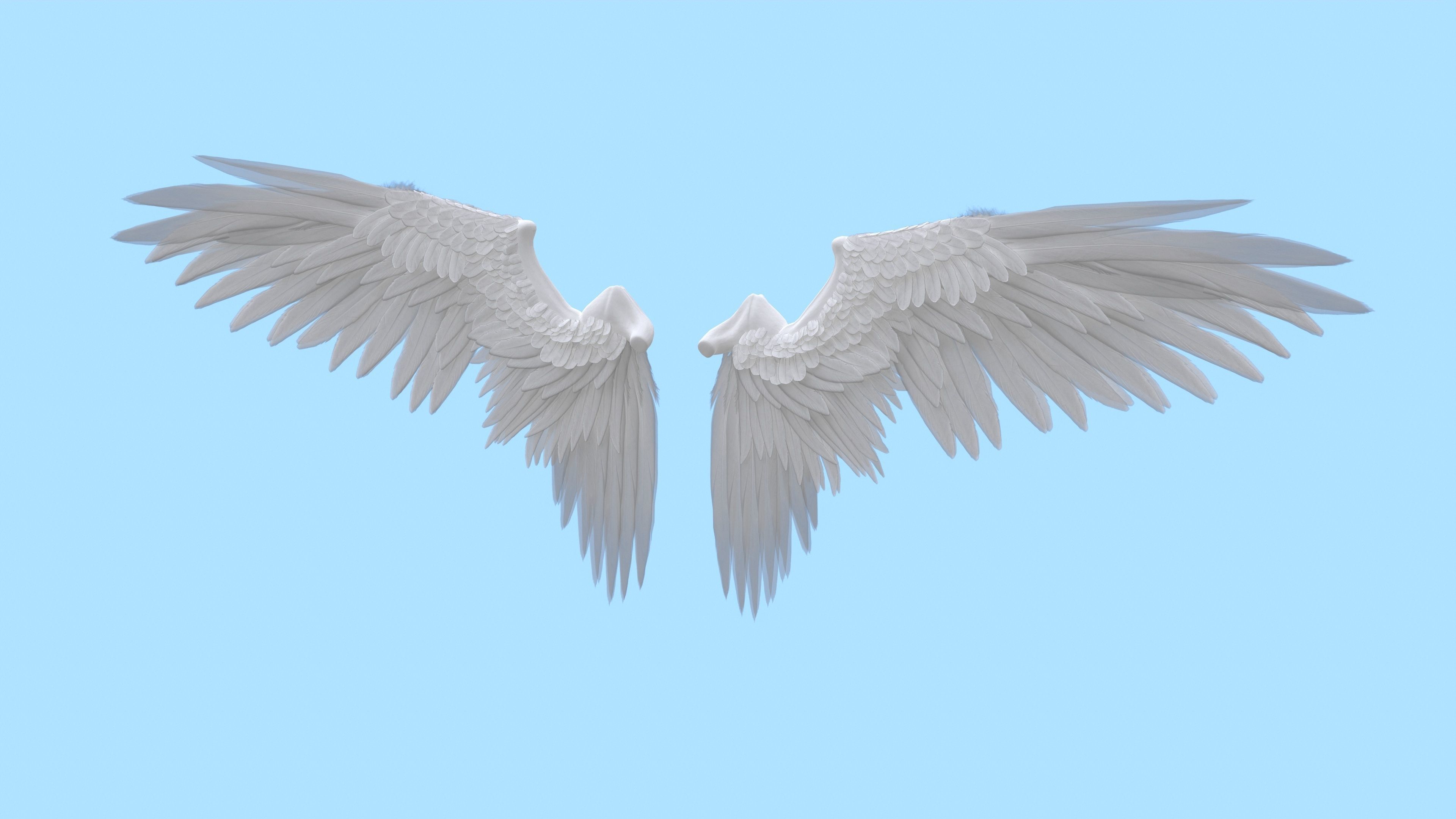 Wings Low-poly 3D model_4