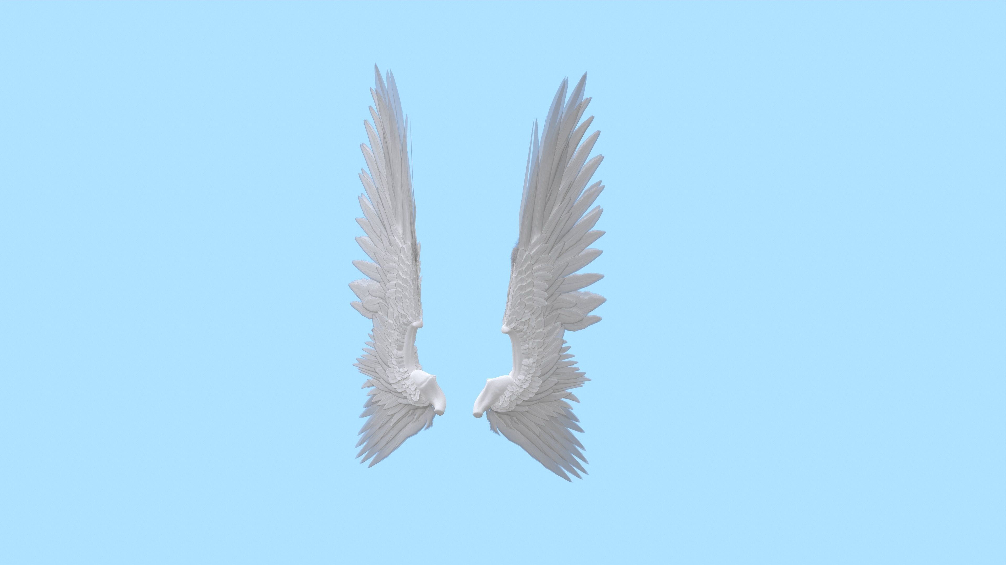 Wings Low-poly 3D model_8