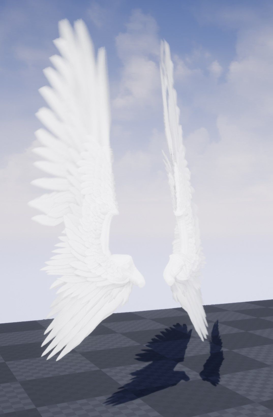 Wings Low-poly 3D model_13