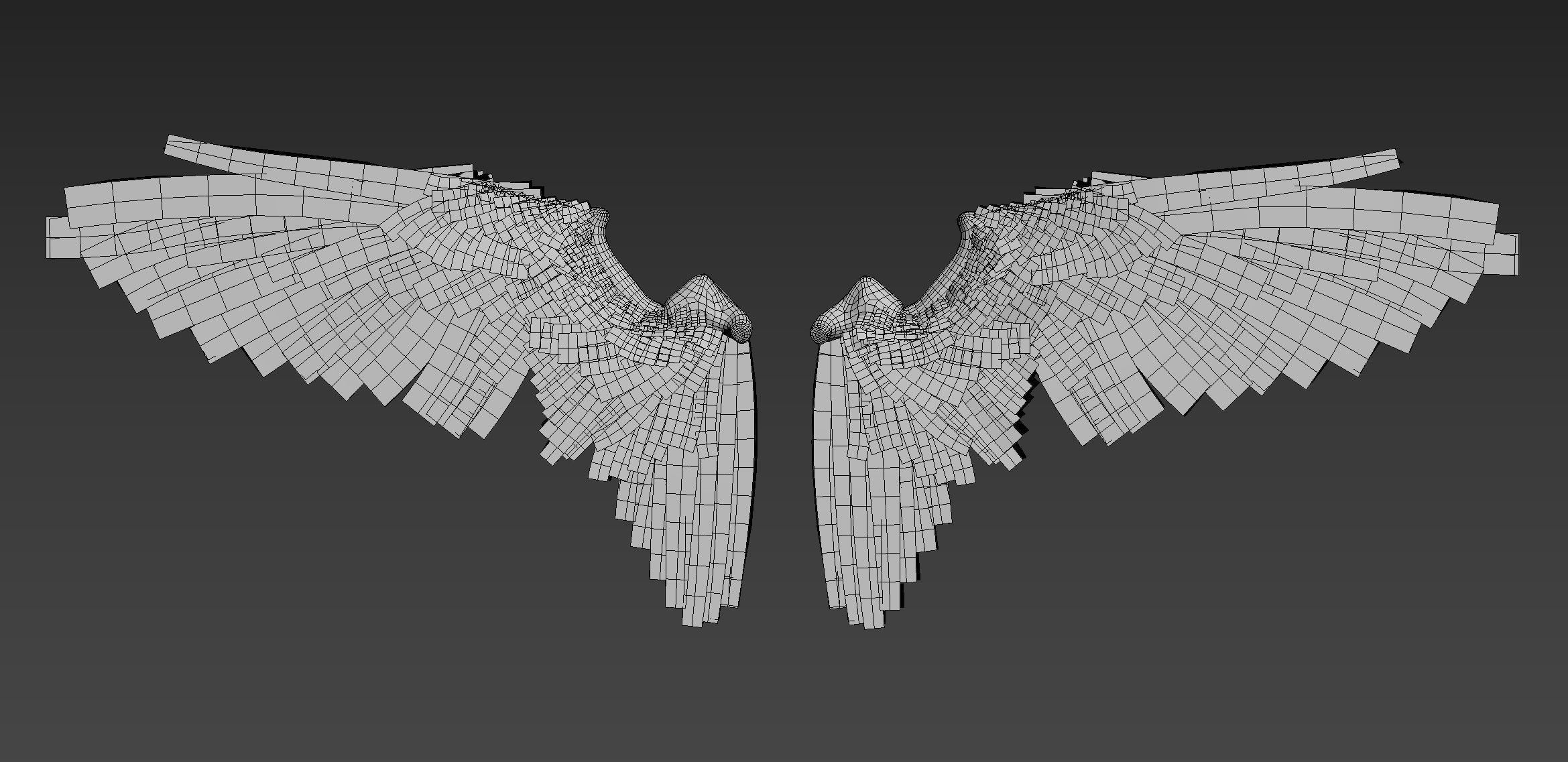 Wings Low-poly 3D model_12