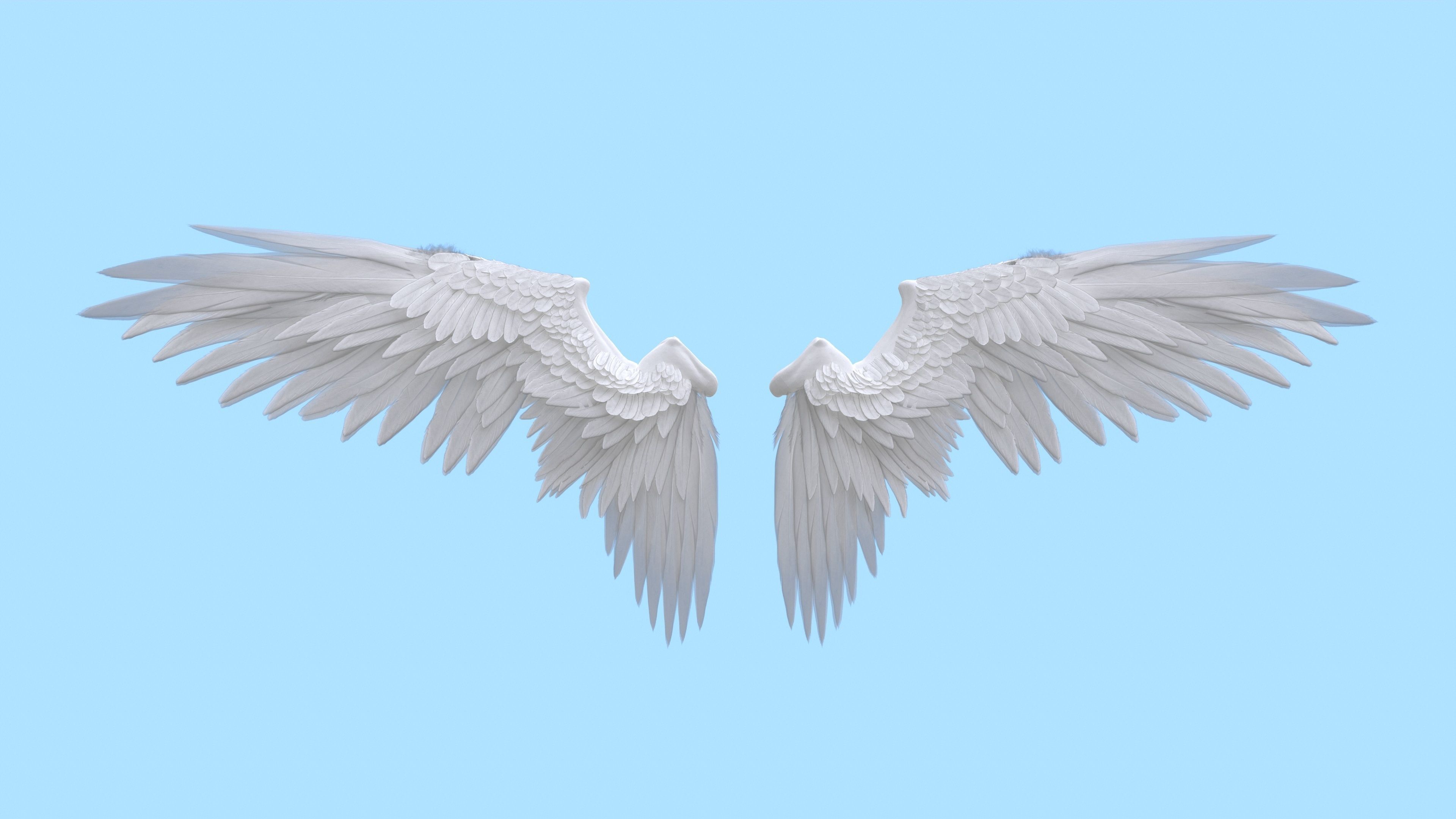 Wings Low-poly 3D model_6