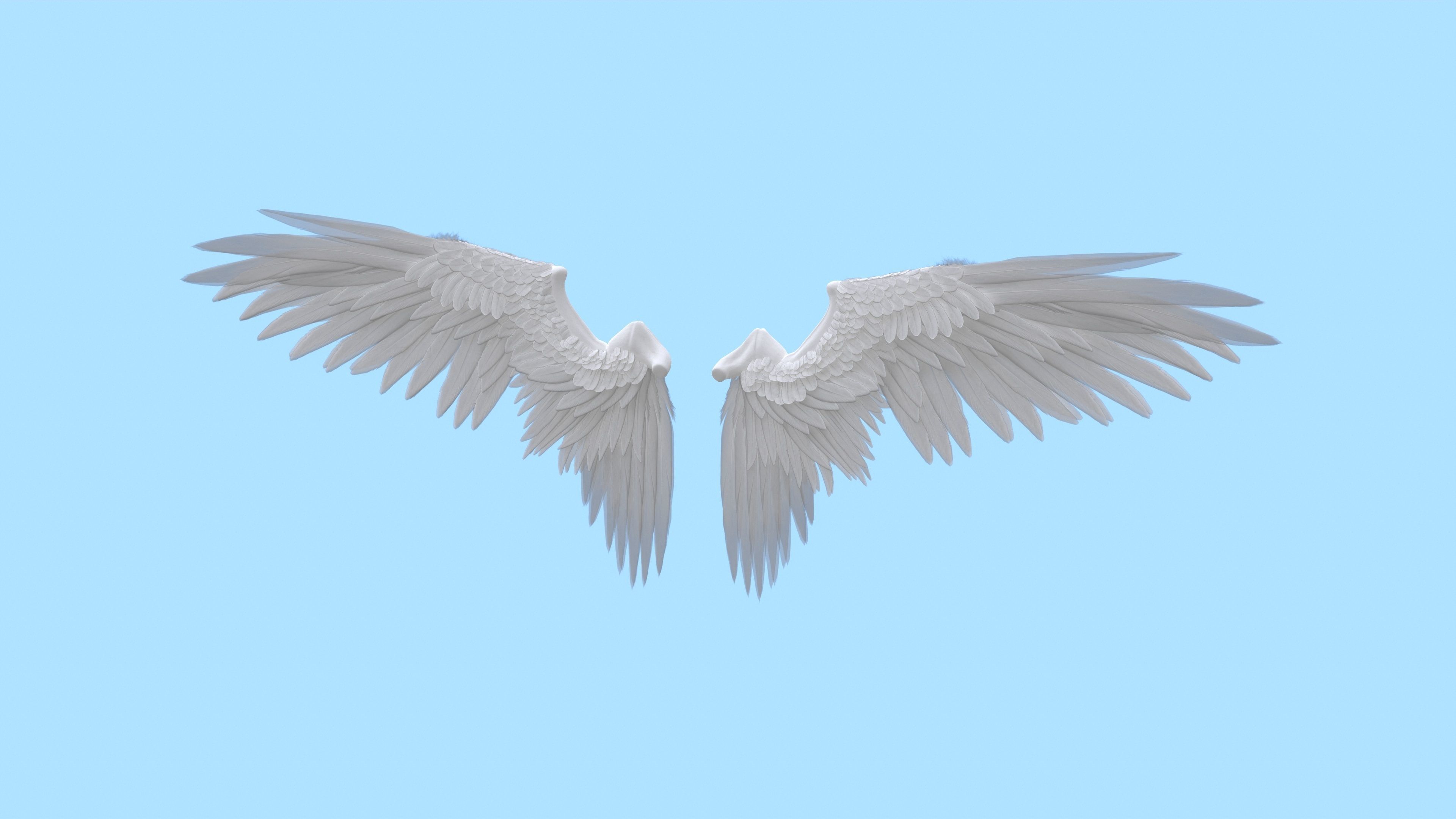 Wings Low-poly 3D model_7