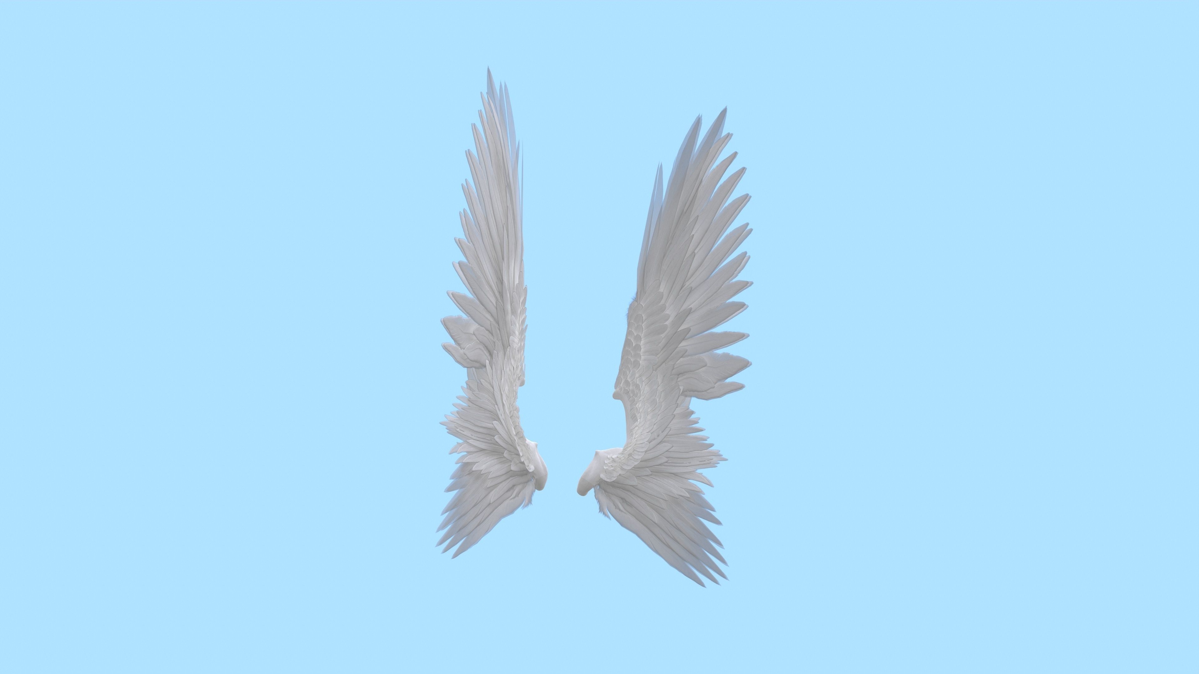 Wings Low-poly 3D model_9