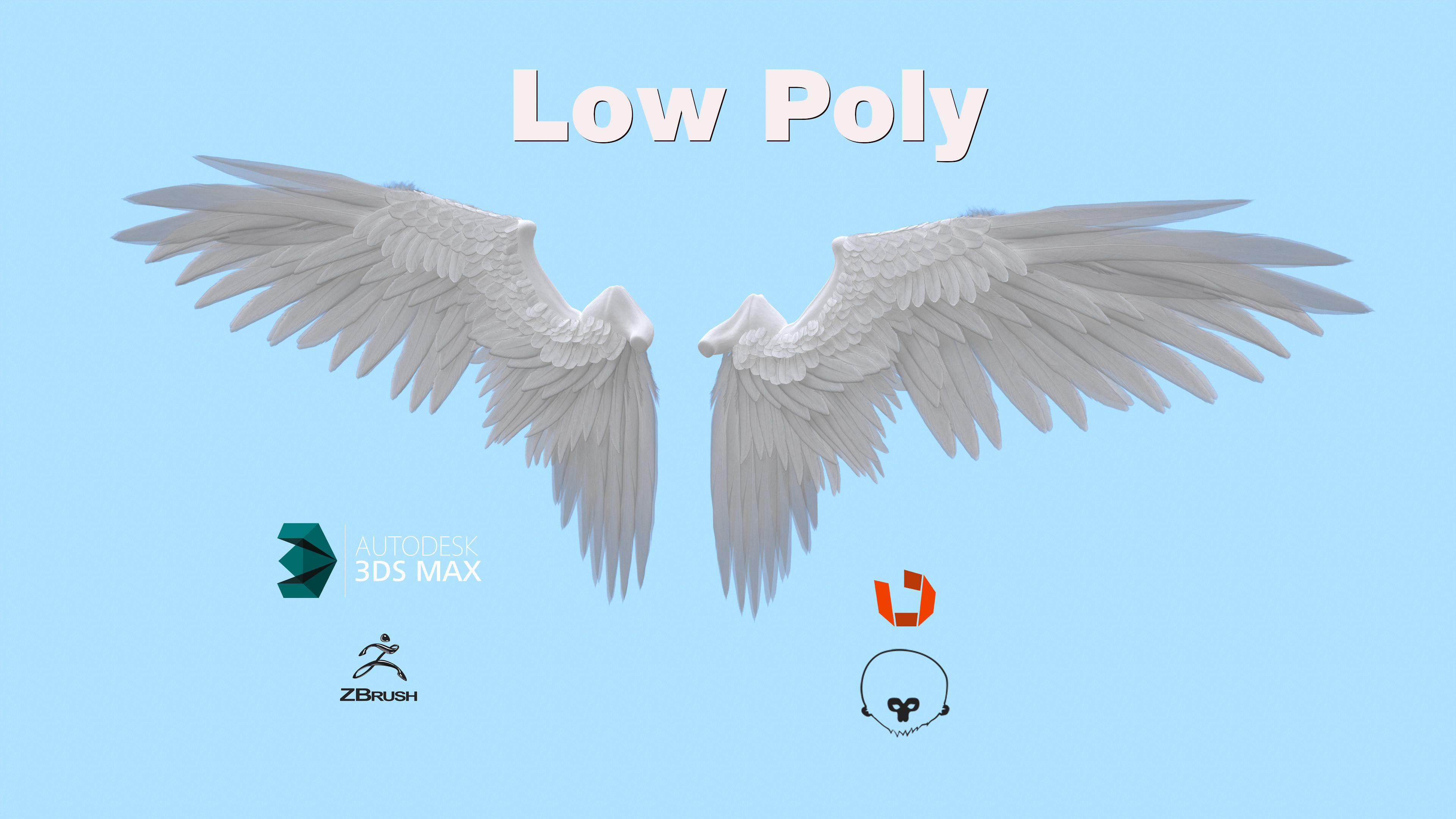 Wings Low-poly 3D model_0