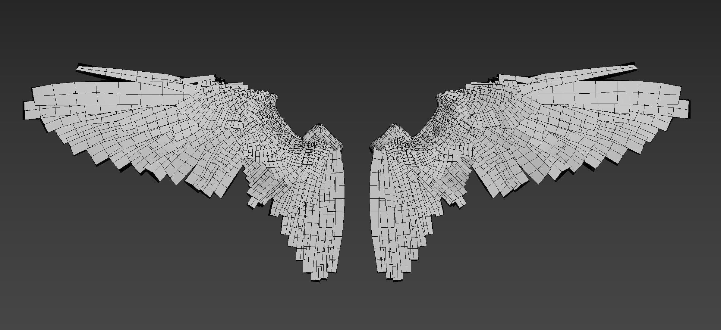 Wings Low-poly 3D model_11