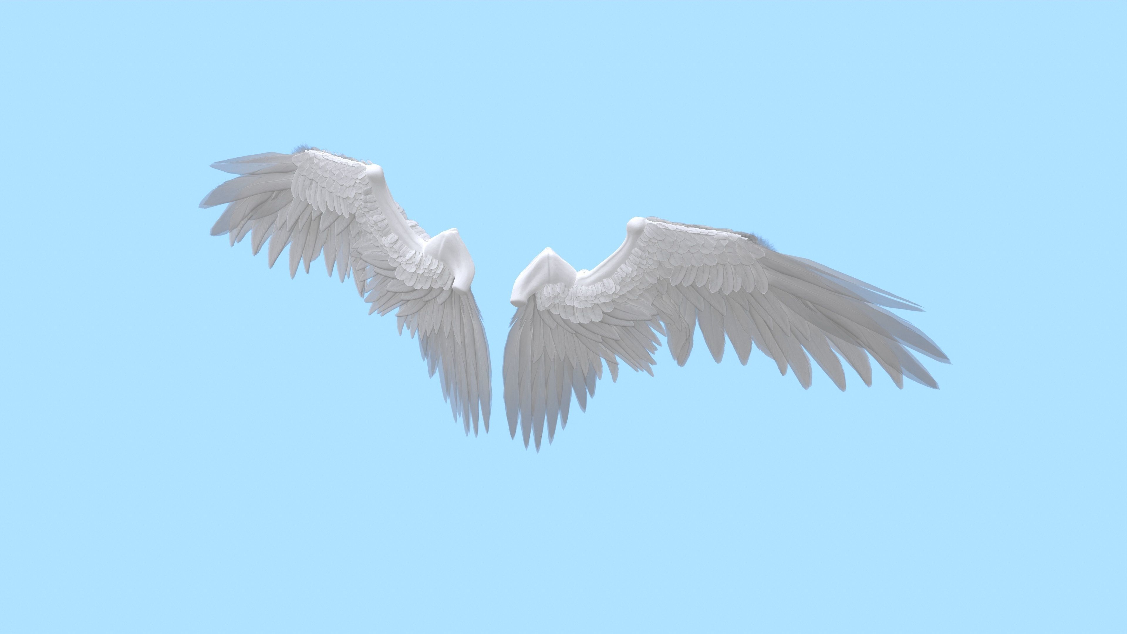 Wings Low-poly 3D model_10