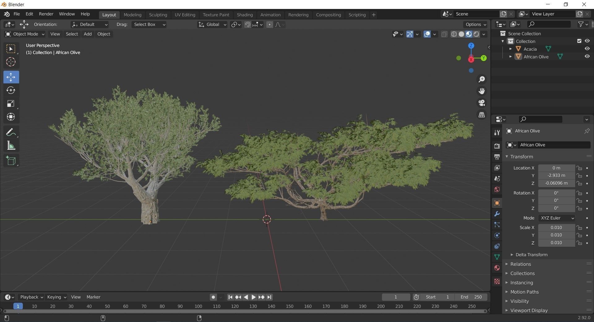 Acacia African Olive tree collection 2 trees in the scene 3D model_4