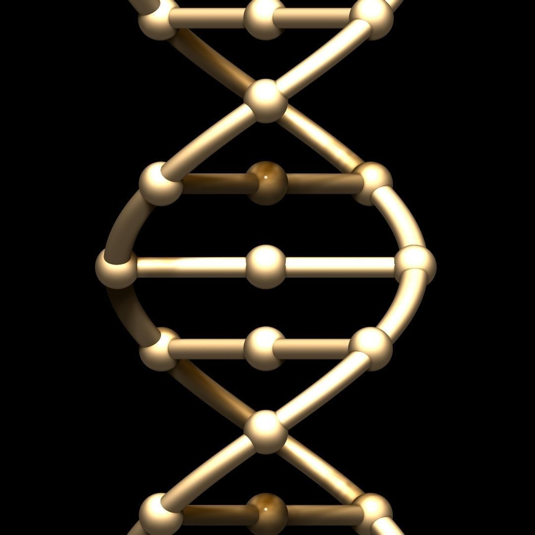 DNA Chain 3D model_4