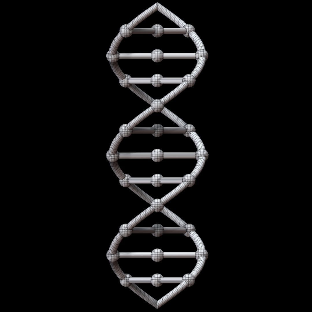 DNA Chain 3D model_8