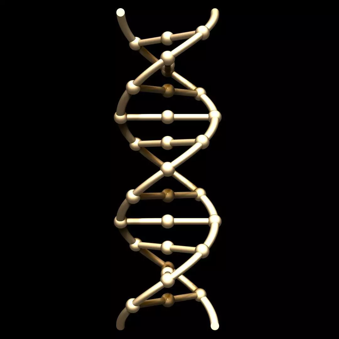 DNA Chain 3D model_0