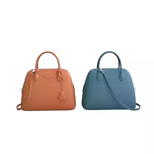 handbag-HermesBolide two handbags