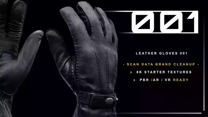 Leather Gloves 001