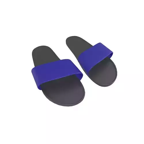 Flip Flops v5 012