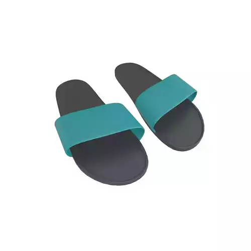 Flip Flops v5 013