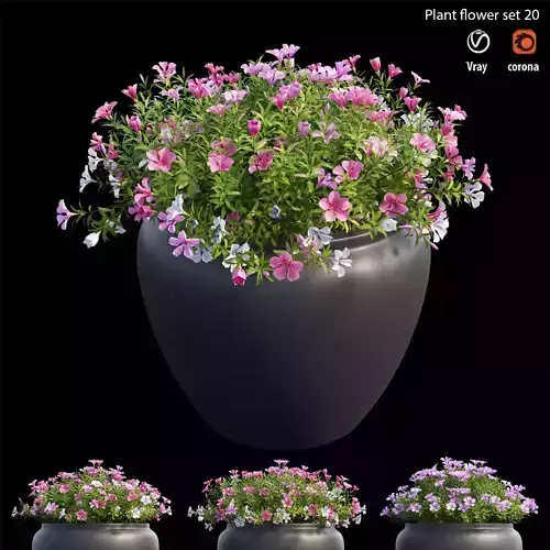 Plant Flower set  11 3D model