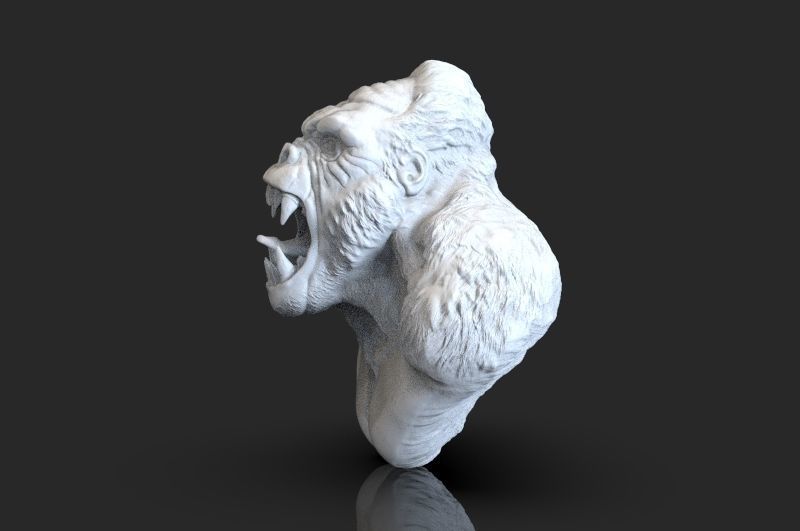 Gorilla bust 3D print model_5