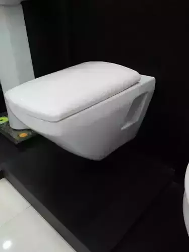 3d toilet