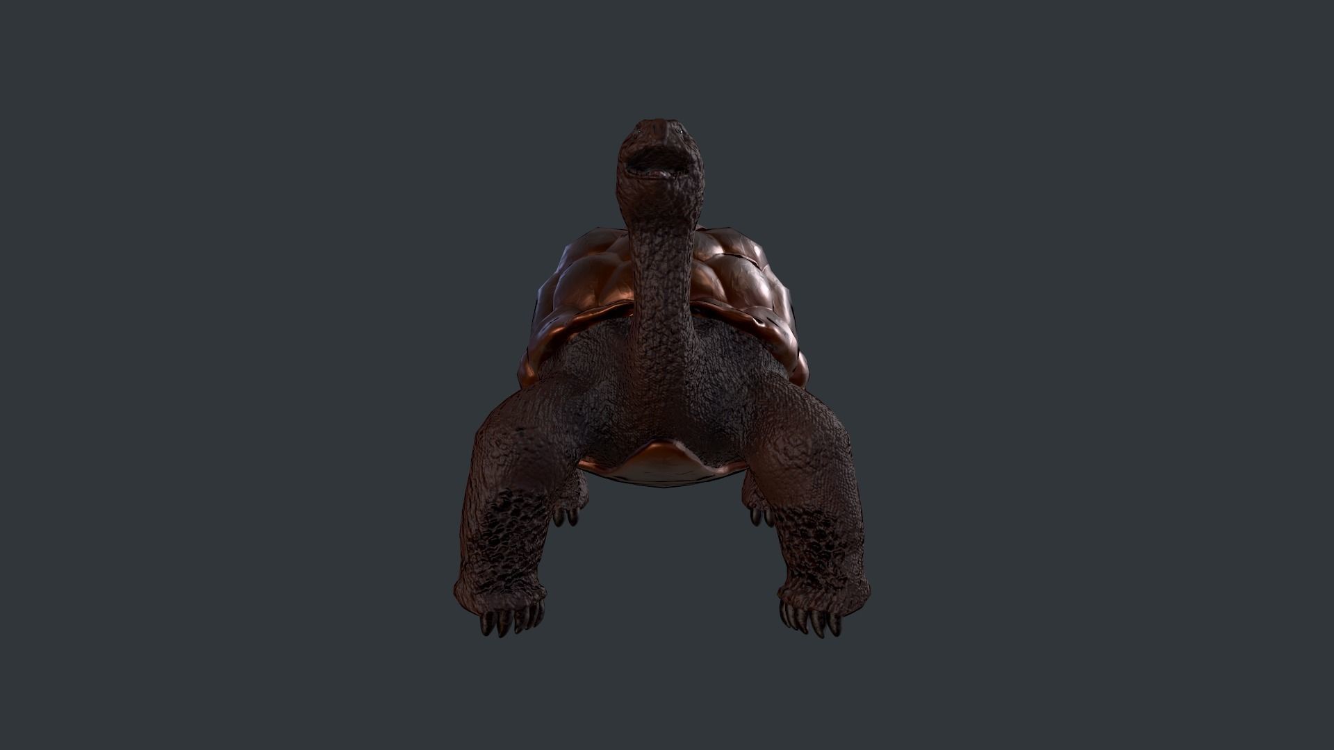Turtle bear Low-poly 3D model_2