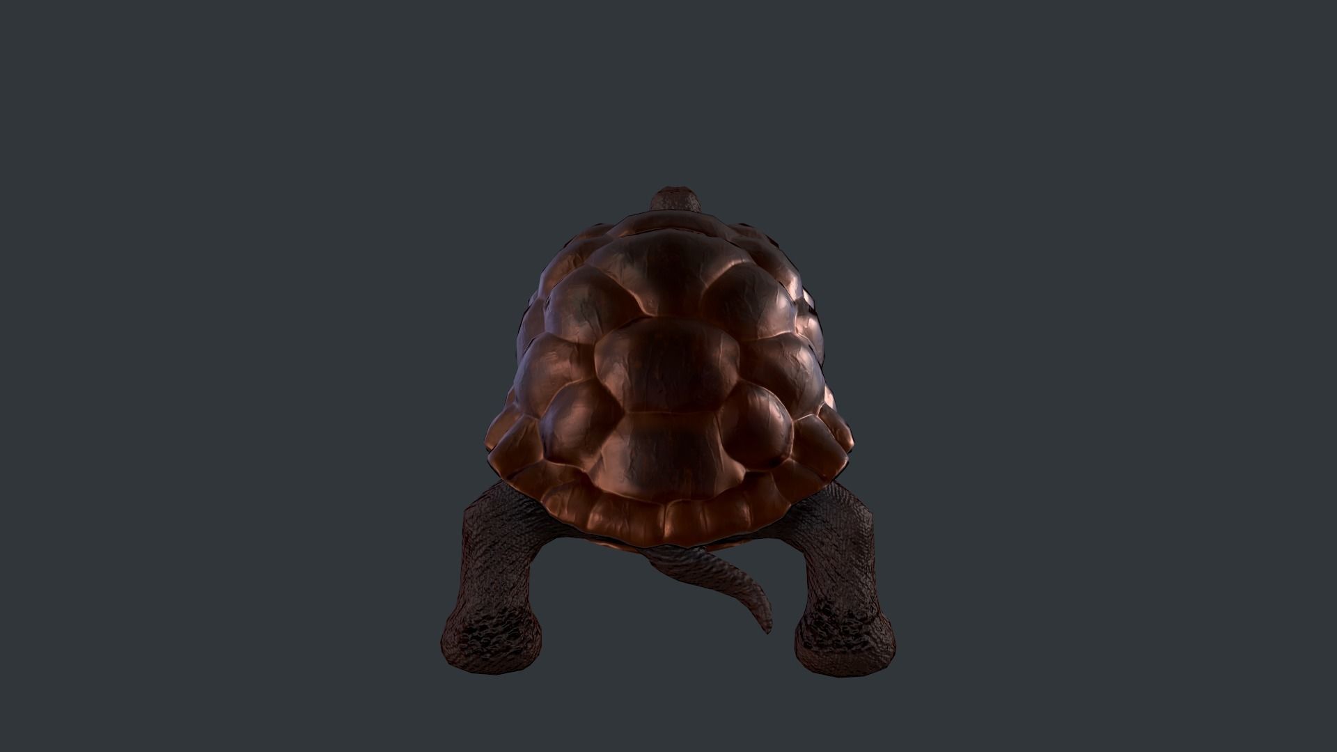 Turtle bear Low-poly 3D model_3