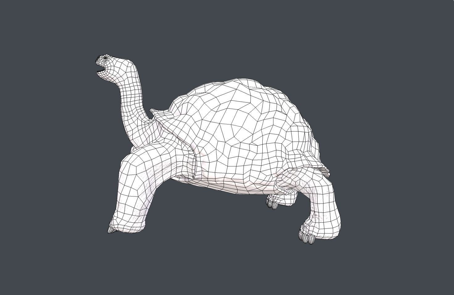 Turtle bear Low-poly 3D model_7