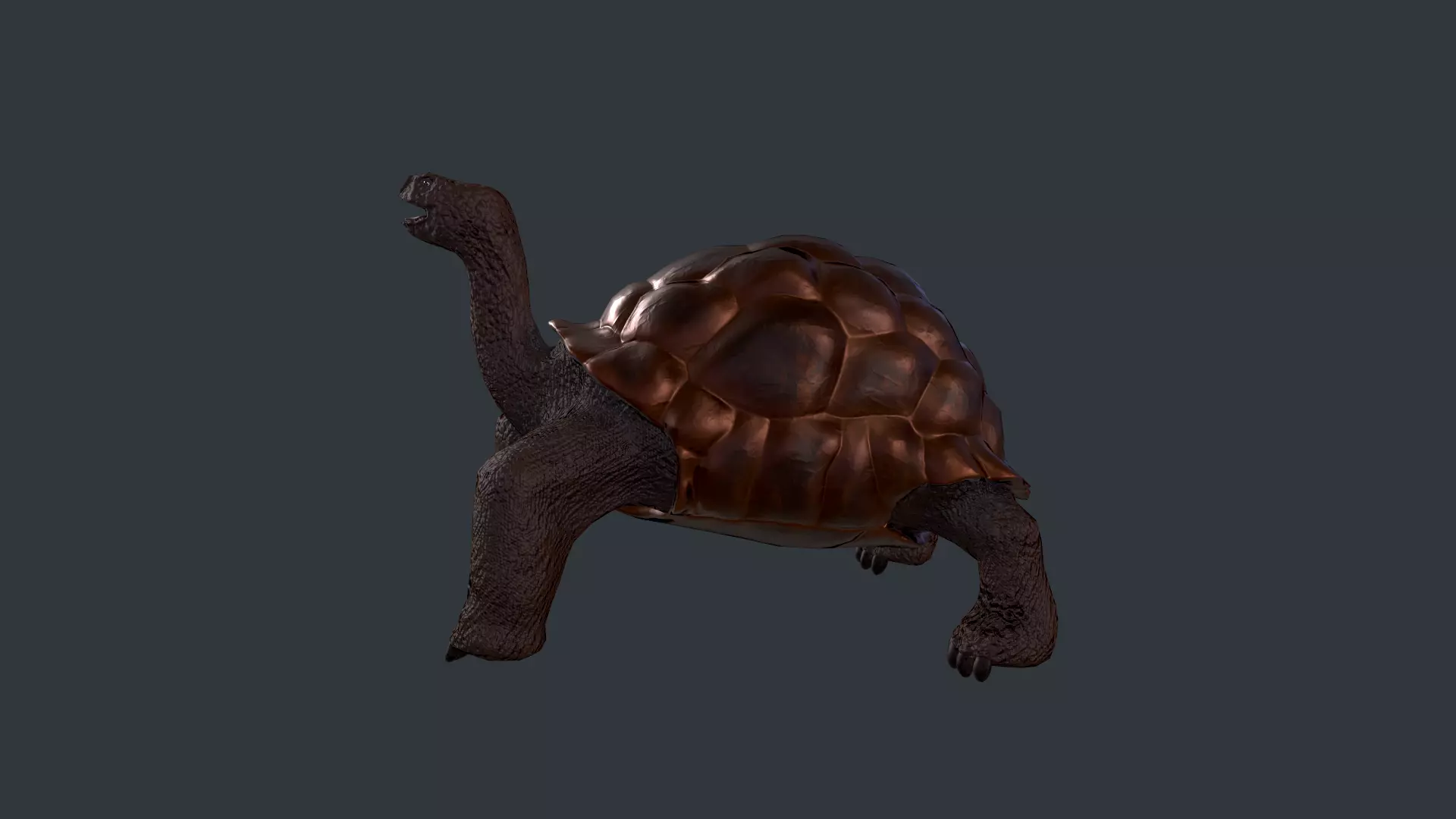 Turtle bear Low-poly 3D model_0