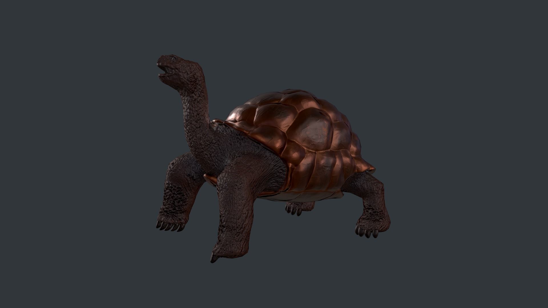 Turtle bear Low-poly 3D model_5