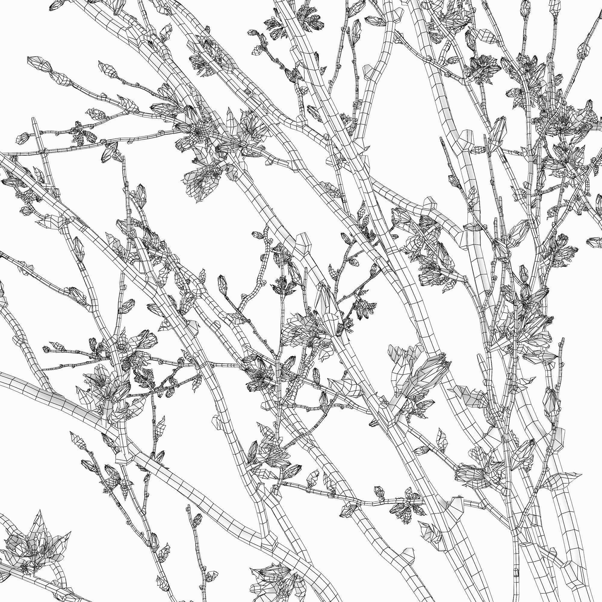 Branches in a vase 015 3D model_9