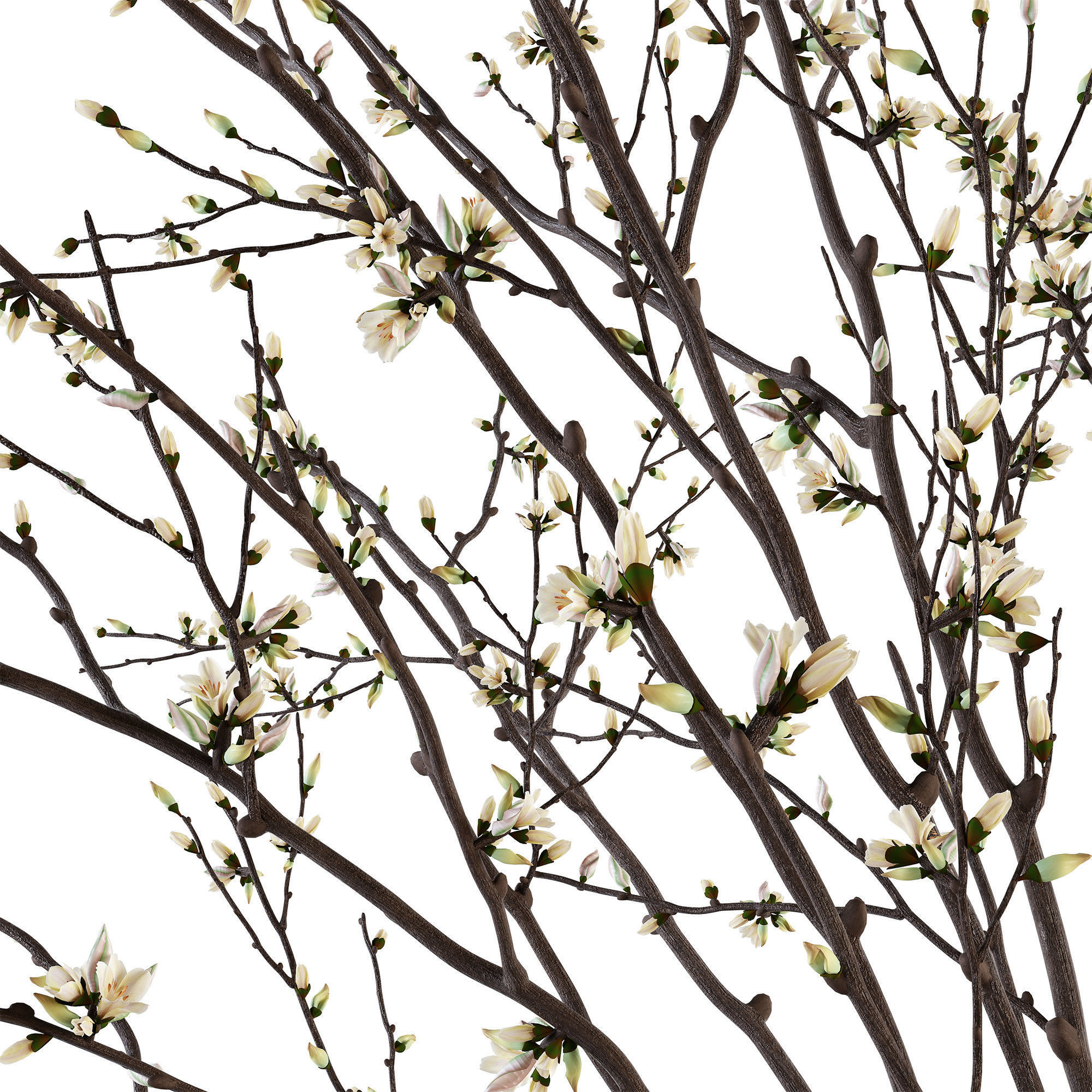 Branches in a vase 015 3D model_5