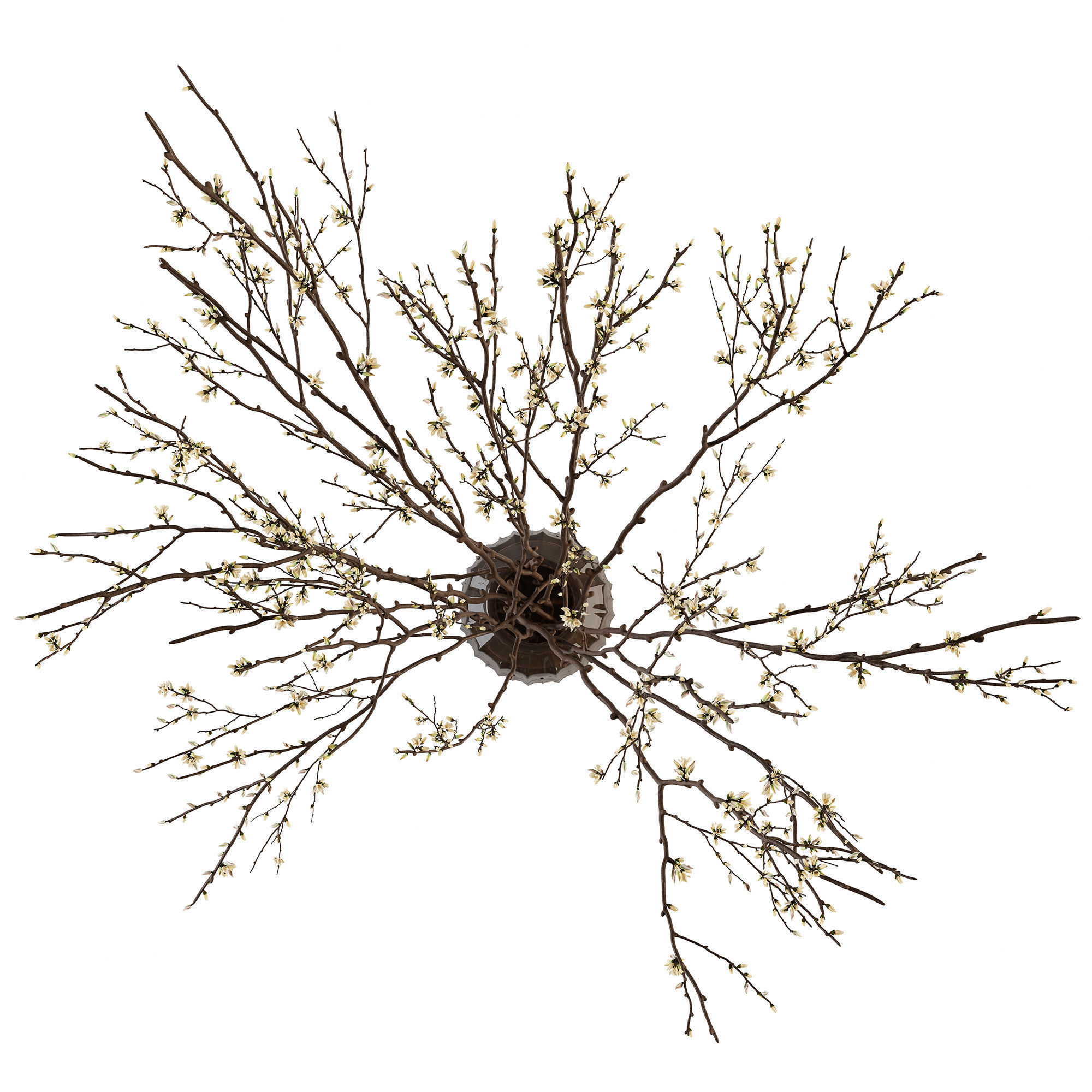Branches in a vase 015 3D model_6