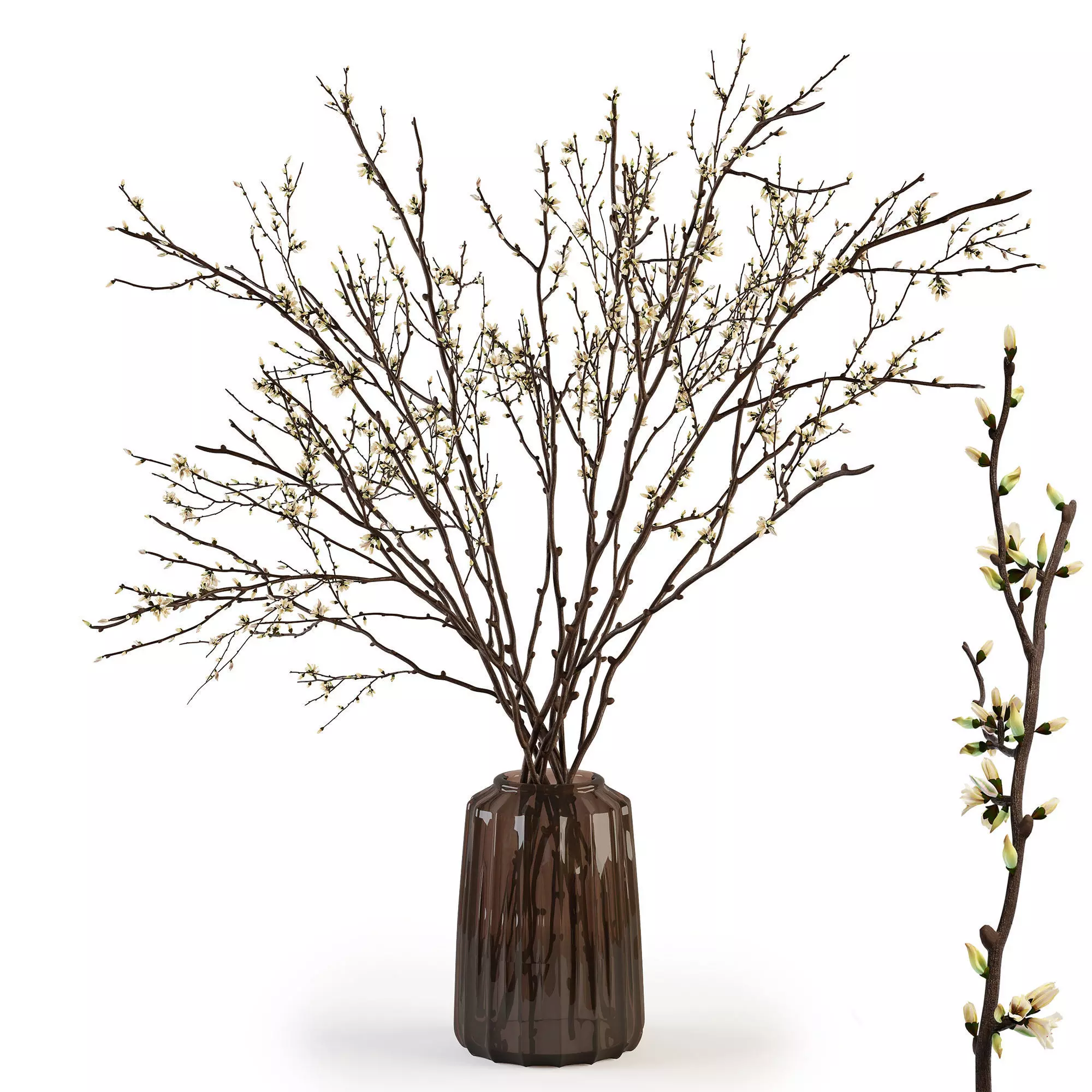 Branches in a vase 015 3D model_0