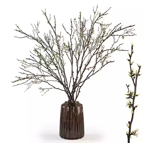 Branches in a vase 015 3D model
