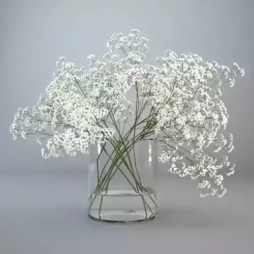 White wildflowers in glass vase 3D model