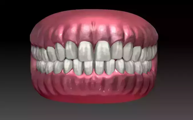 Game ready human mouth Low-poly 3D model