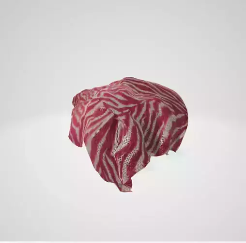 Zebracloth zebra scarf