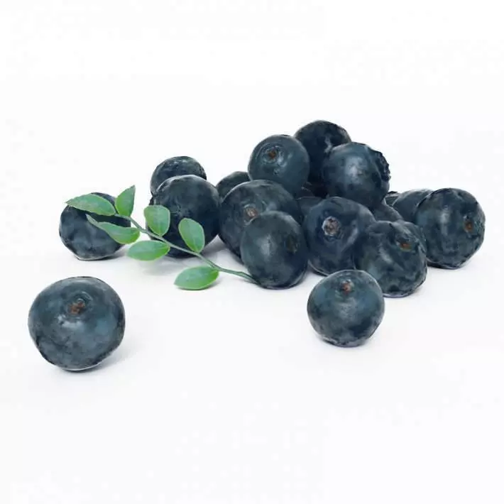 Cluster Of Fresh Blueberries 3D model_0