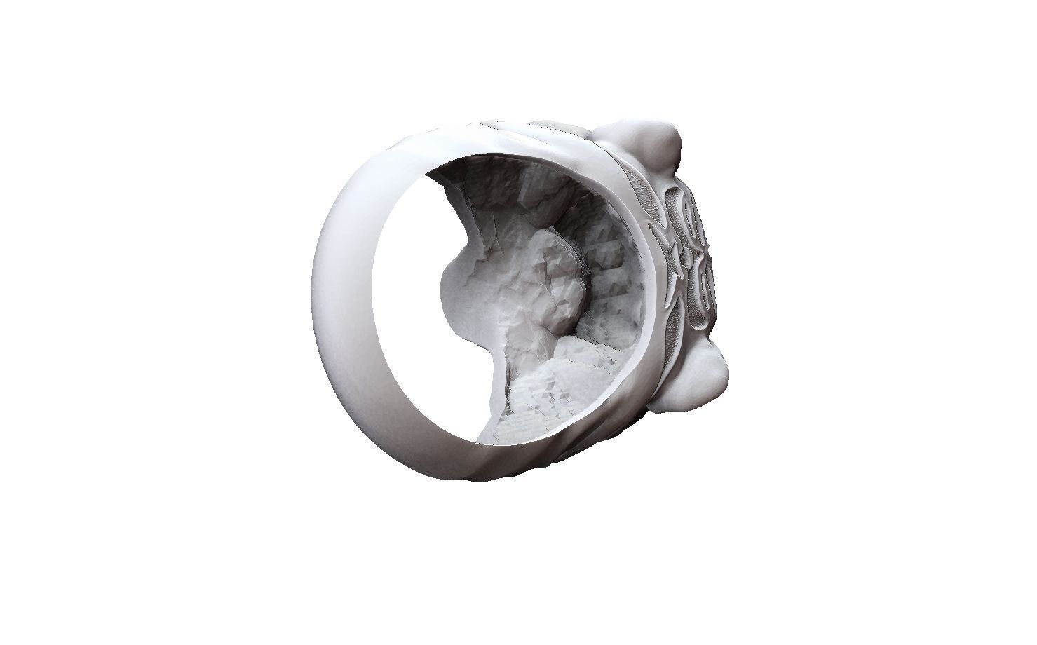 Tiger rings 3D print model_7