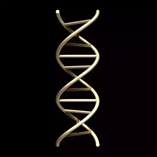 DNA Chain 3D model