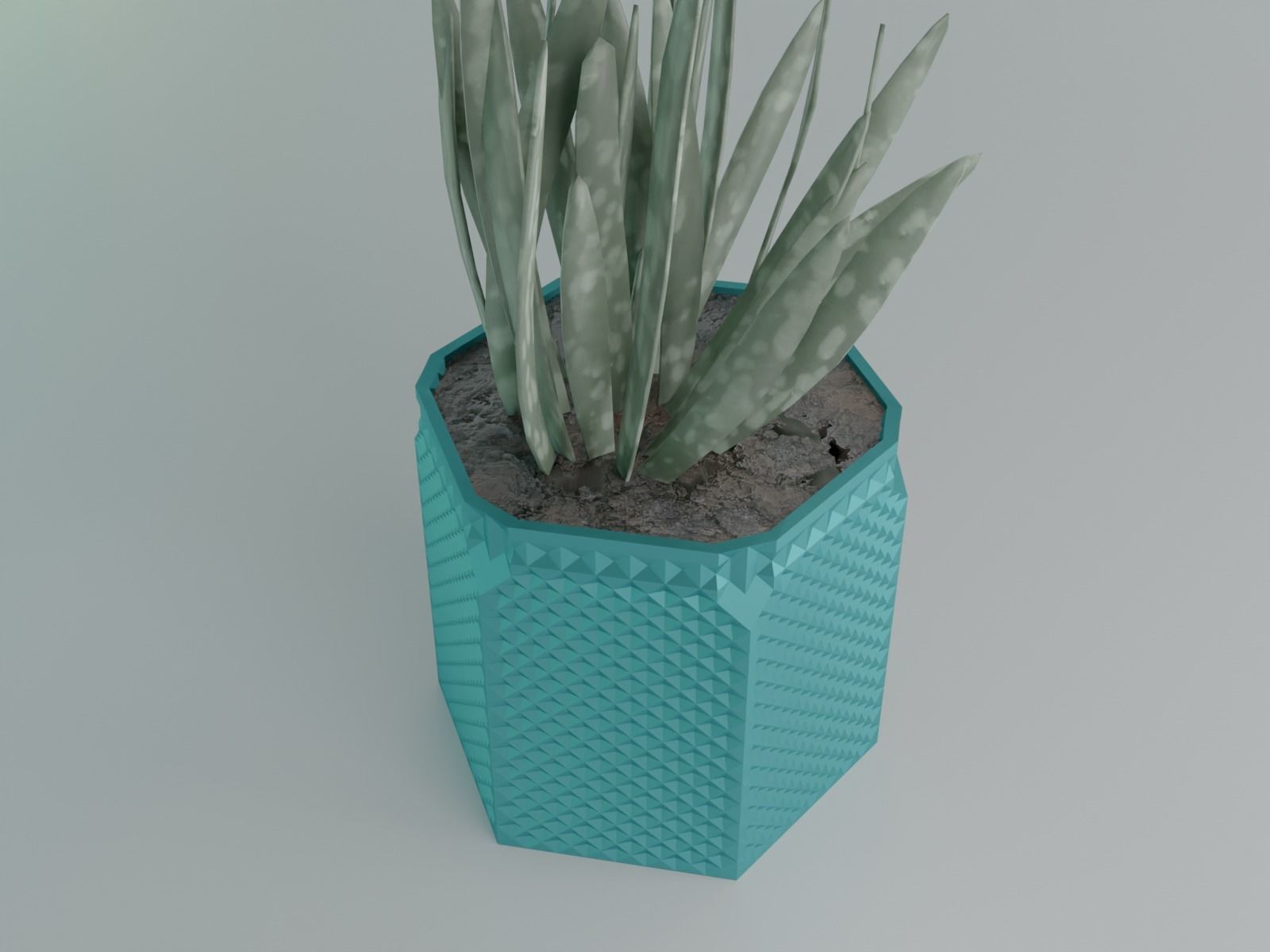 succulent plant pot 34 3D print model_10