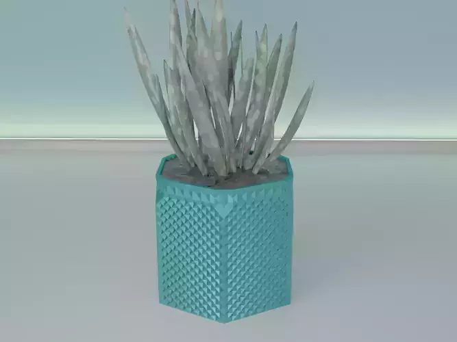 succulent plant pot 34 3D print model