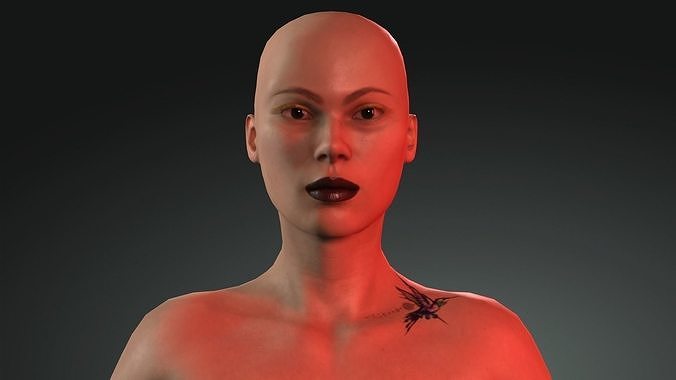 Shelly - 4K Animasyon For game Low-poly 3D model