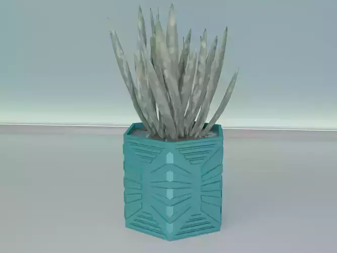 succulent plant pot 35 3D print model