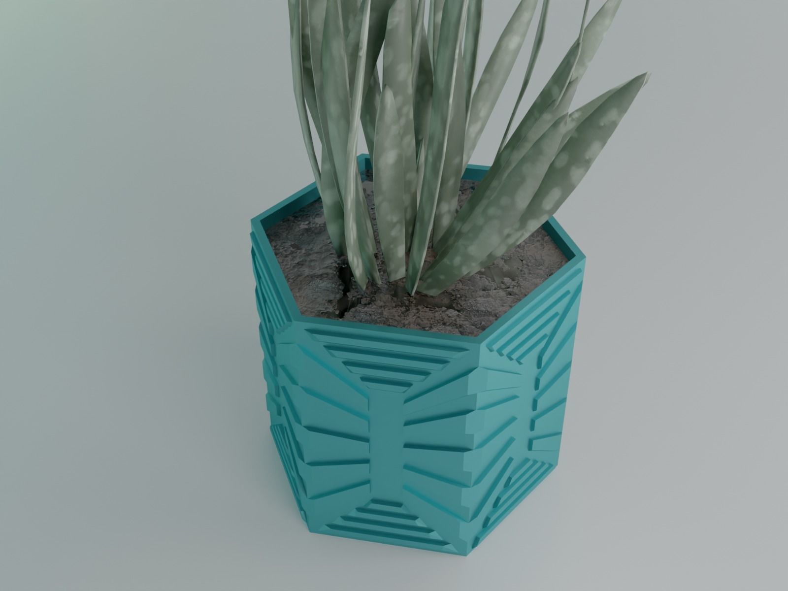 succulent plant pot 35 3D print model_5
